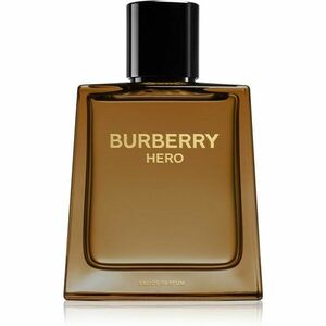 Burberry Hero Eau de Parfum parfémovaná voda pro muže 100 ml obraz