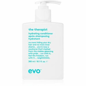 EVO Hydrate The Therapist hydratační kondicionér pro suché a barvené vlasy 300 ml obraz