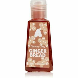 Not So Funny Any Cleansy Jelly Gingerbread čisticí gel na ruce 30 ml obraz