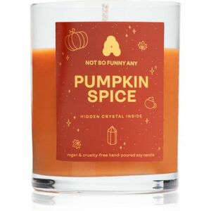 Not So Funny Any Crystal Candle Pumpkin Spice svíčka s krystalem 220 g obraz