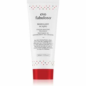 EVO Fabuloso Colour Boosting Treatment maska na vlasy pro zvýraznění barvy vlasů odstín Mahogany 220 ml obraz
