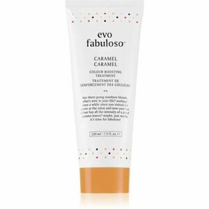 EVO Fabuloso Colour Boosting Treatment maska na vlasy pro zvýraznění barvy vlasů odstín Caramel 220 ml obraz