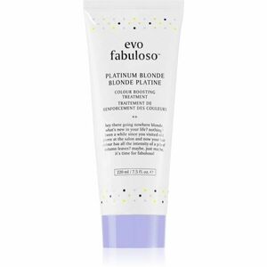 EVO Fabuloso Colour Boosting Treatment maska na vlasy pro zvýraznění barvy vlasů odstín Platinum Blonde 220 ml obraz
