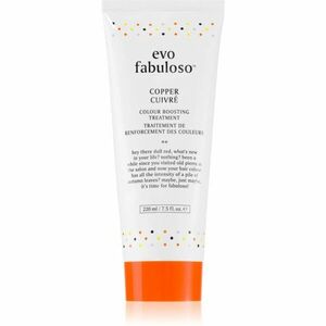 EVO Fabuloso Colour Boosting Treatment maska na vlasy pro zvýraznění barvy vlasů odstín Copper 220 ml obraz