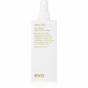 EVO Style Salty Dog slaný sprej na vlasy 200 ml obraz