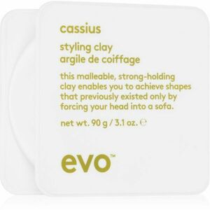 EVO Style Cassius stylingový jíl na vlasy pro fixaci a tvar 90 g obraz
