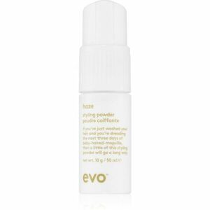 EVO Style Haze stylingový pudr pro objem vlasů 50 ml obraz