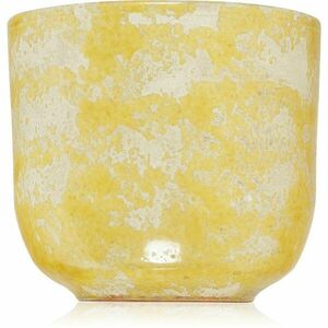Wax Design Rustic Yellow Citronella venkovní svíčka 14x12, 5 cm obraz