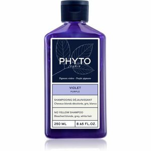 Phyto Purple No Yellow Shampoo tónovací šampon pro blond a melírované vlasy 250 ml obraz