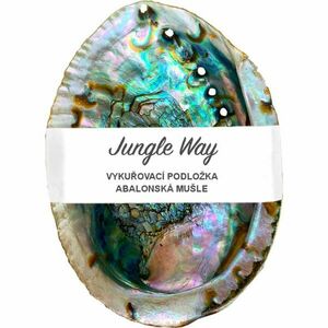 Jungle Way Abalone Shell vykuřovací podložka 1 ks obraz