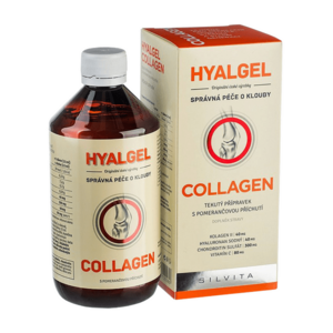 Hyalgel Collagen 500 ml obraz