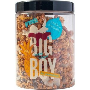 Big Boy ® Proteinová granola s hořkou čokoládou by @kamilasikl 360 g obraz