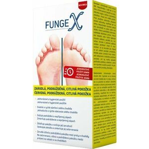 FungeX Ponožky 1 pár obraz