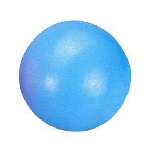 DMA Rehabilitační míč PSB434-A-BL Aerobic 20 Blue obraz