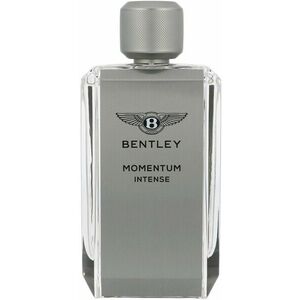 Bentley Momentum Intense 100 ml obraz