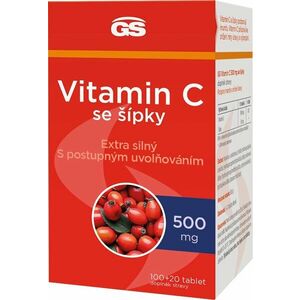 GS Vitamin C 500mg se šípky 120 tablet obraz