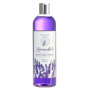Body Tip Premium Sprchový gel a šampon levandule 500 ml obraz