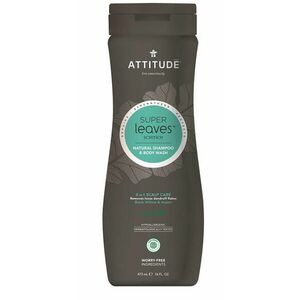 Attitude Super leaves Přírodní pánský šampón & tělové mýdlo (2v1) s detoxikačním účinkem - proti lupům 473 ml obraz