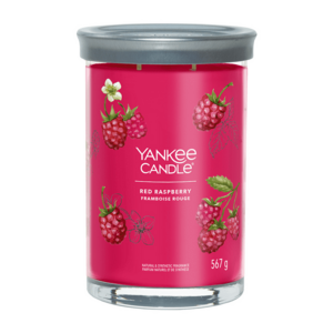 Yankee Candle Vonná svíčka Red Raspberry tumbler 2 knoty 567 g obraz