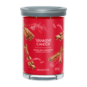 Yankee Candle Vonná svíčka Sparkling Cinnamon tumbler 2 knoty 567 g obraz