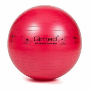 QMED Abs gymnastický míč průměr 55 cm obraz