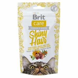 BRIT Care Snack Shiny Hair s lososem pro kočky 50 g obraz
