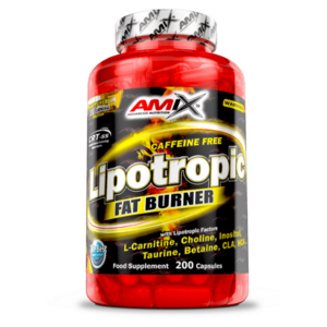 AMIX Lipotropic fat burner 200 kapslí obraz