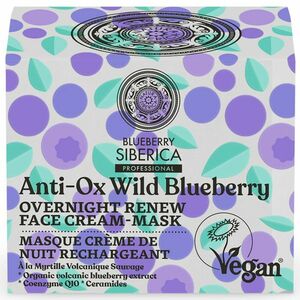 NATURA SIBERICA Blueberry Siberica Noční obnovující pleťová krémová maska 50 ml obraz