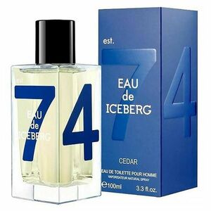 ICEBERG Eau de Iceberg Cedar Toaletní voda pro muže 100 ml obraz