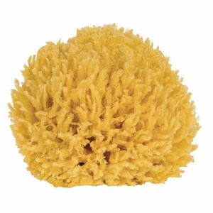 CROLL & DENECKE Přírodní mořská mycí houba 10 cm - 1 kus obraz