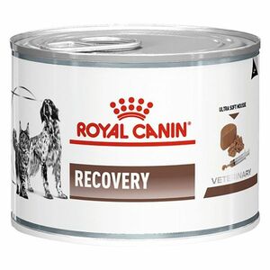 ROYAL CANIN Recovery konzerva pro kočky a psy 195 g obraz