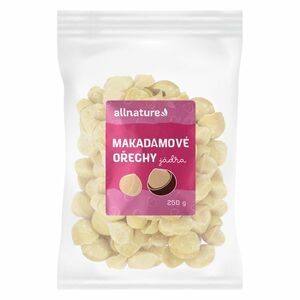 ALLNATURE Makadamové ořechy 250 g obraz