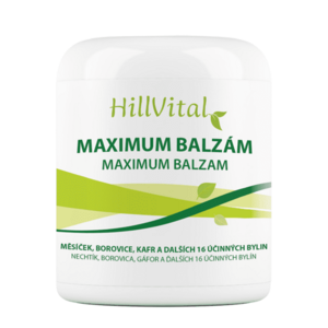 HillVital | Maximum balzám - na artrózu, artritidu a revma 250 ml obraz