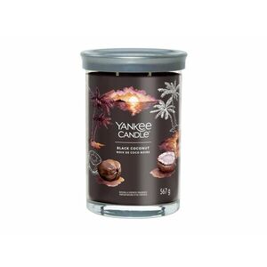 Yankee Candle Aromatická svíčka Signature tumbler velký Black Coconut 567 g obraz