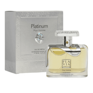 Flavia Platinum Pour Homme - EDP 100 ml obraz