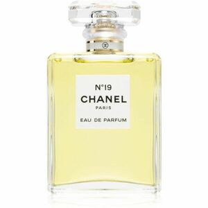 Chanel N°19 parfémovaná voda s rozprašovačem pro ženy 100 ml obraz