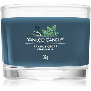 Yankee Candle Bayside Cedar votivní svíčka 37 g obraz