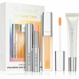 Sigma Beauty Lip Care Trio sada (na rty) obraz