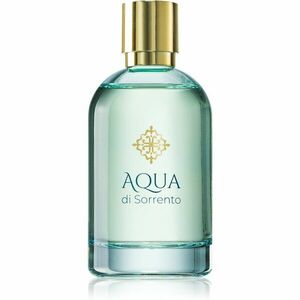 Aqua di Sorrento Posillipo parfémovaná voda unisex 100 ml obraz
