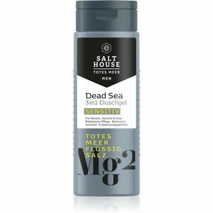 Salt House Dead Sea Men sprchový gel pro muže 3 v 1 250 ml obraz