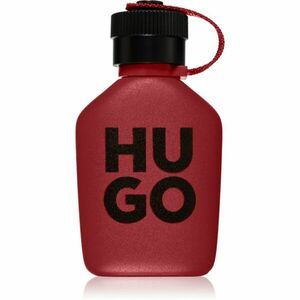 HUGO BOSS - Hugo Intense - Parfémová voda obraz