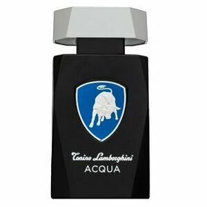 Tonino Lamborghini Acqua toaletní voda pro muže 125 ml obraz