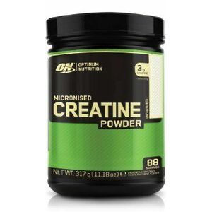 Creatine Powder - Optimum Nutrition 317 g obraz