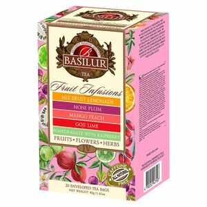 BASILUR Fruit infusions assorted IV ovocné čaje 20 gastro sáčků obraz