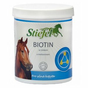 STIEFEL Biotin prášek 1 kg obraz