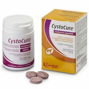 CANDIOLI Cystocure 30 tablet obraz
