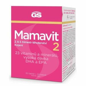 GS Mamavit 2 těhotenství a kojení 30 tablet + 30 kapslí obraz