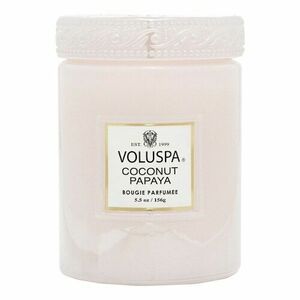 VOLUSPA - Vermeil Coconut Papaya Small Jar Candle – Svíčka obraz