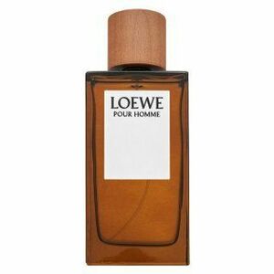 Loewe Pour Homme toaletní voda pro muže 150 ml obraz