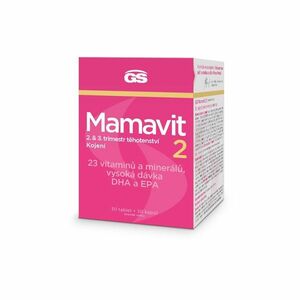 GS Mamavit 2 Těhotenství a kojení 30 tablet + 30 kapslí obraz
